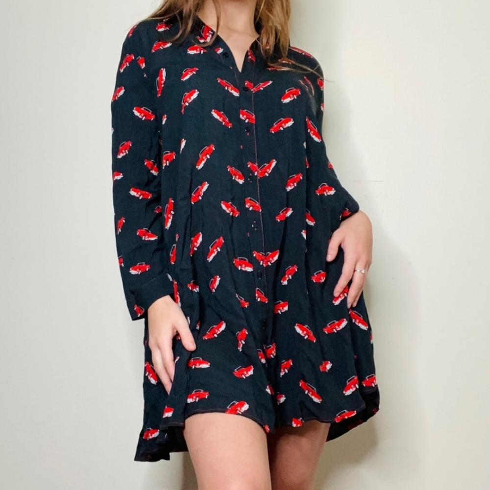 Zara Button Down Dress